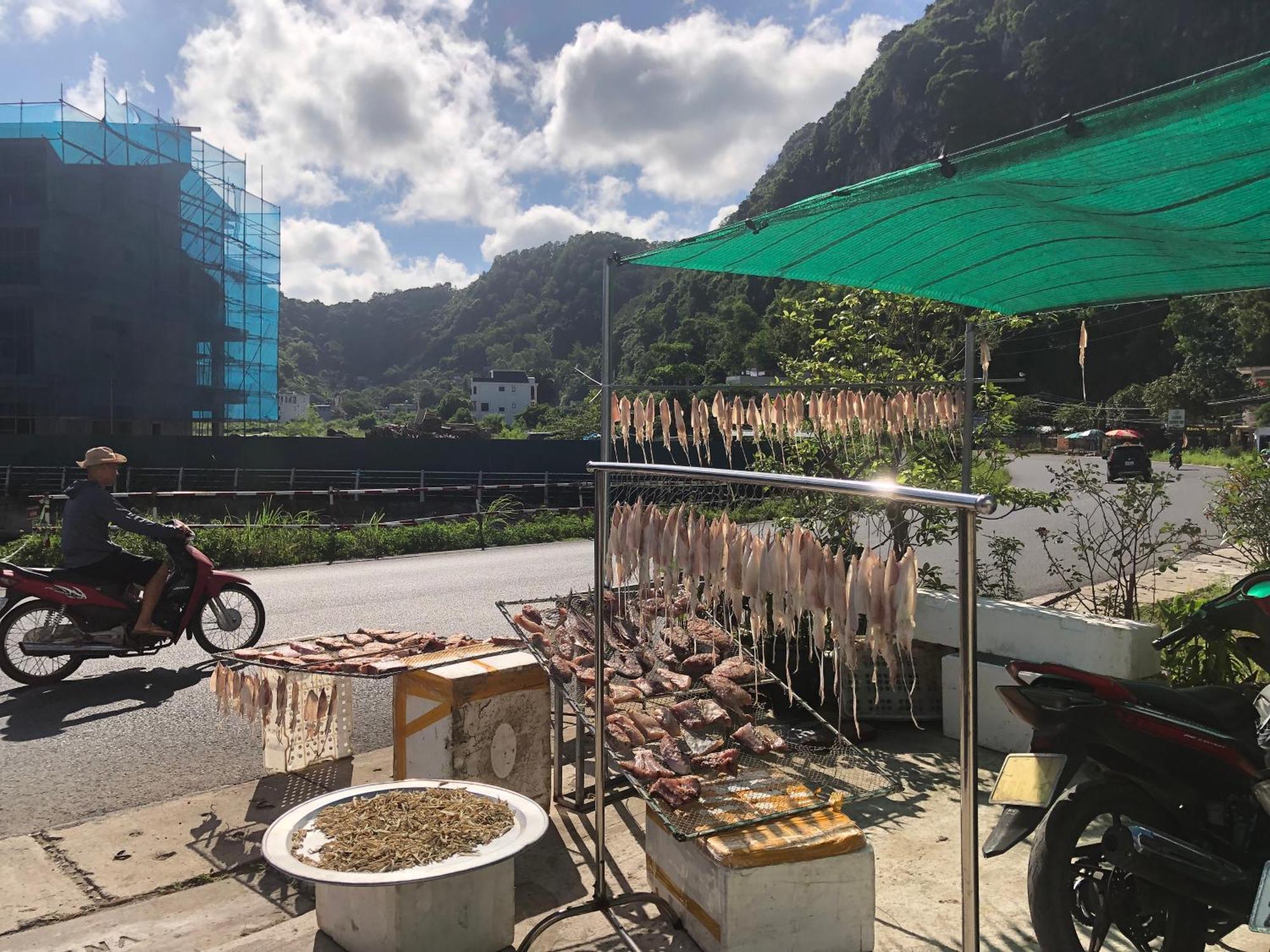 Huong Quynh Homestay Hai Phong Eksteriør billede
